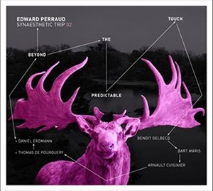 Affiche de Edward Perraud Synaesthetic Trip