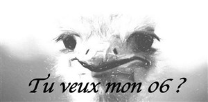 Affiche de Tu veux mon 06 ?