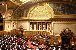 Affiche de Visite guidée : Le palais du luxembourg siège du sénat | Par Gérard Soulier