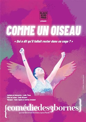 Affiche de Lydie Tison dans Comme un oiseau