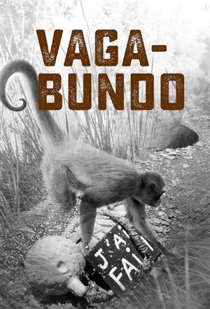 Affiche de Vabagundo