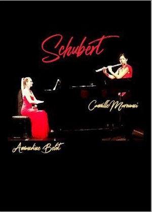 Affiche de Schubert, un voyage poétique musical