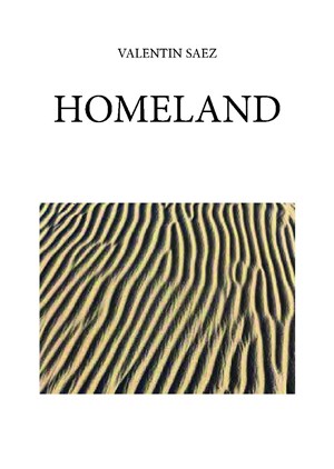 Affiche de Homeland