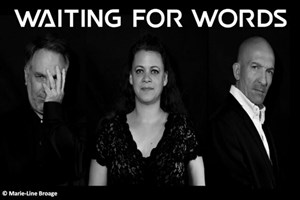 Affiche de Waiting for words