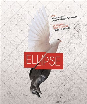 Affiche de Ellipse