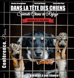 Affiche de Dans la tête des chiens | spéciale chiens de refuge