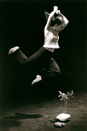 Affiche de Journée de la danse - Carte blanche à Laure Daugé