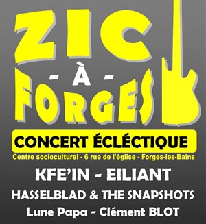 Affiche de Zicaforges