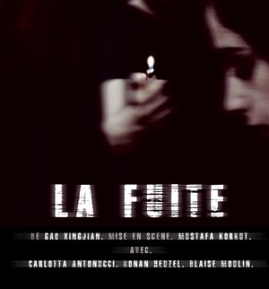 Affiche de La Fuite
