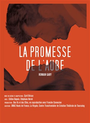 Affiche de La promesse de l'aube
