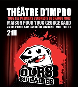 Affiche de La rentrée des Ours Molaires