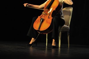 Affiche de La dame au violoncelle