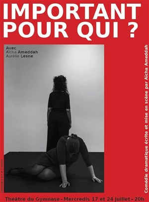 Affiche de Important pour qui ?