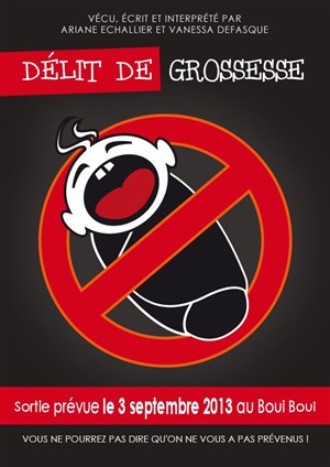 Affiche de Délit de grossesse