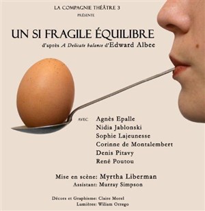 Affiche de Un si fragile équilibre