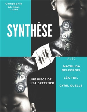 Affiche de Synthèse