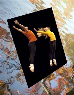 Affiche de Merce Cunningham & CNDC d'Angers | How to Pass, Kick, Fall and Run + Inlets 2 + Beach Birds