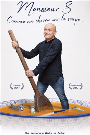 Affiche de Monsieur S dans Comme un cheveu dans la soupe