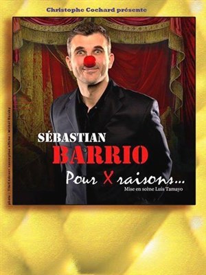 Affiche de Sébastian Barrio dans Pour x raisons...