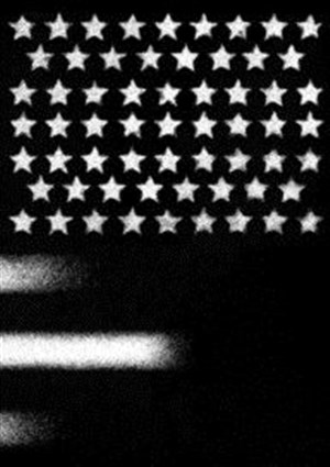 Affiche de Une Amérique noire