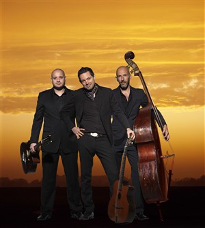 Affiche de Robin Nolan Trio