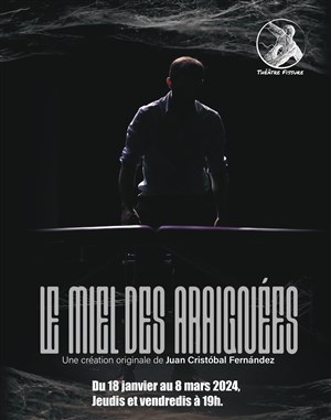 Affiche de Le miel des araignées