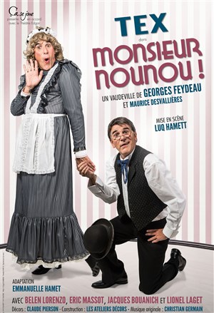 Affiche de Monsieur Nounou