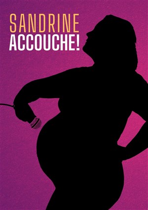 Affiche de Sandrine accouche ! One mum show