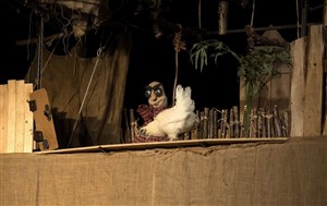 Affiche de Des poules et des hommes