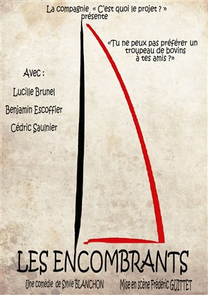 Affiche de Les Encombrants