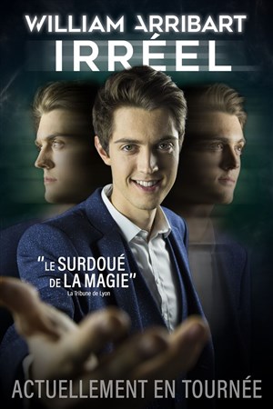 Affiche de William Arribart dans Irréel