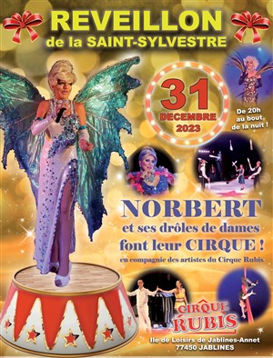 Affiche de Réveillon magique avec Norbert et ses Drôles de Dames Font leur Cirque