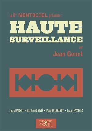 Affiche de Haute surveillance