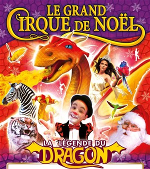 Affiche de Medrano Le grand cirque de Noël : La Légende du Dragon | - Rouen