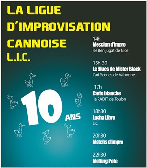 Affiche de La LIC fête ses 10 ans !