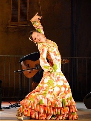 Affiche de Vuelo Flamenco