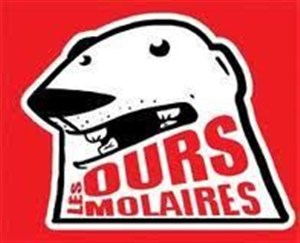 Affiche de Théâtre d'impro | Les Ours molaires