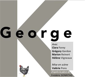 Affiche de Le projet George Kaplan
