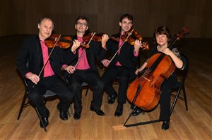 Affiche de Quatuor à cordes Simon