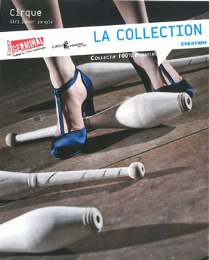 Affiche de La Collection