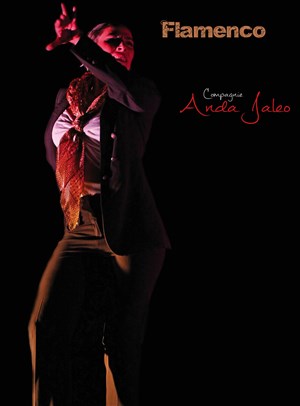 Affiche de Récital Flamenco