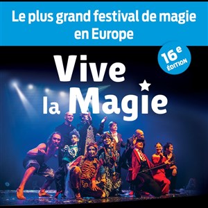 Affiche de Festival International Vive la Magie | Lille