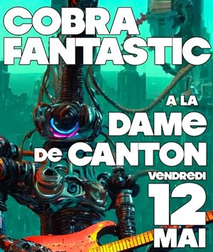 Affiche de Cobra Fantastic