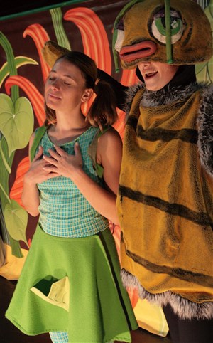 Affiche de Noémie et le mystère de la chrysalide