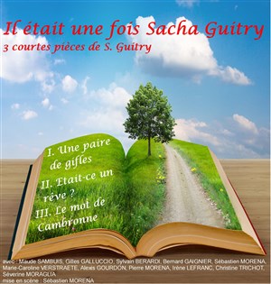 Affiche de Il était une fois Sacha Guitry