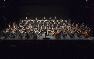 Affiche de L'Amour Sorcier par l'Orchestre National d'Ile de France