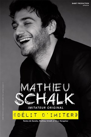 Affiche de Mathieu Schalk dans Délit d'imiter