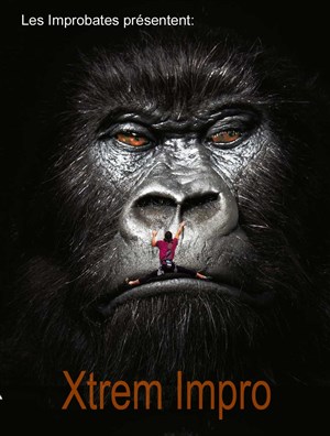 Affiche de Les Improbates | Xtrem Impro