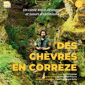 Affiche de Des chèvres en Corrèze