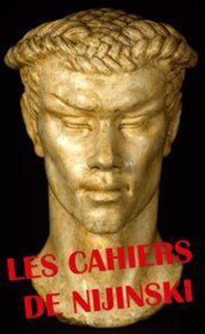 Affiche de Les cahiers de Nijinski
